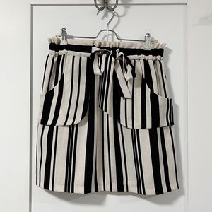 NWOT Zara Skirt